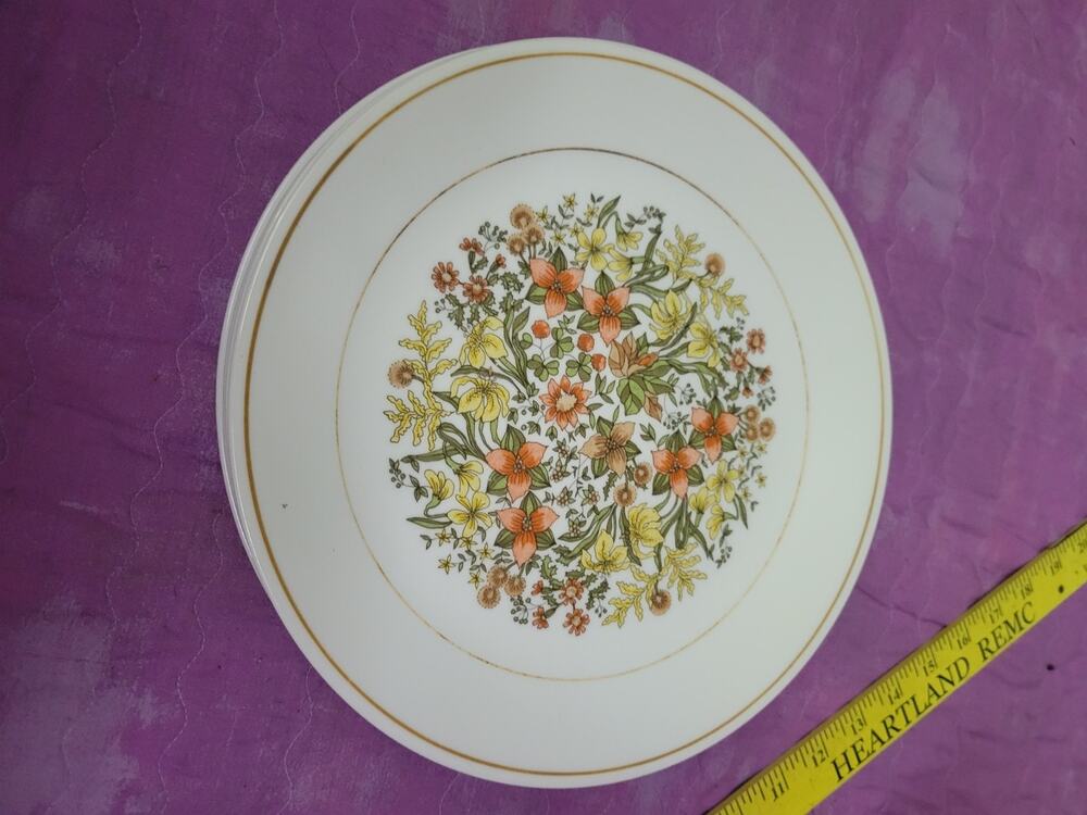 VTG Corelle Corning Indian Summer Dinner Plates Set of 6 Vintage 1970s Floral